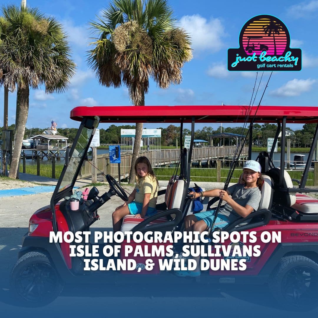 YOU ARE CURRENTLY VIEWING MOST PHOTOGRAPHIC SPOTS ON ISLE OF PALMS, SULLIVAN’S ISLAND, AND WILD DUNES, SC