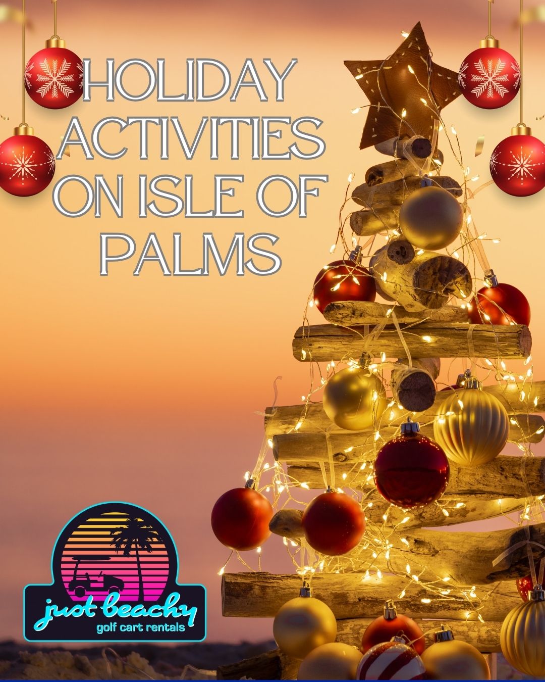 READ MORE ABOUT THE ARTICLE HOLIDAY ACTIVITIES ON ISLE OF PALMS