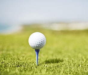  Family Golf Cart Rental Charleston, SC