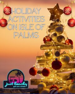 READ MORE ABOUT THE ARTICLE HOLIDAY ACTIVITIES ON ISLE OF PALMS